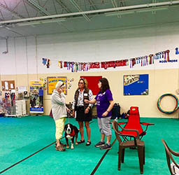 entlebucher breeder, entlebucher stud dogs bluto bronco