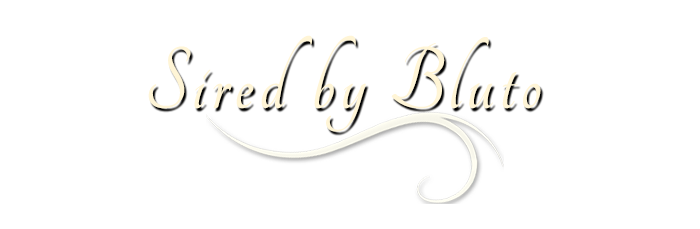 Entlebucher Mountain Dog stud dog, Bluto, Charles From Balihara Ranch CGC (Am CH ptd)