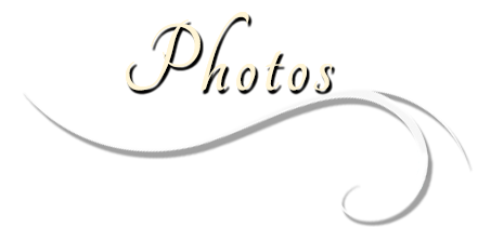 entlebucher breeder, anita crouse, stud dog owner of Entlebucher Mountain Dogs